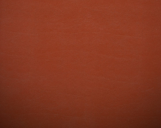 Shiny Hide 8107 07 Lacquer | Faux leather | Anzea Textiles