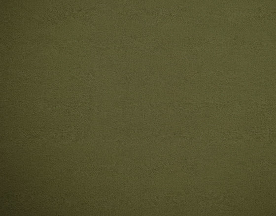 Shiny Hide 8107 12 Collard Greens | Faux leather | Anzea Textiles