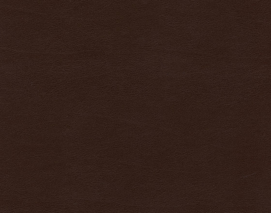 Shiny Hide 8107 13 Roasted | Faux leather | Anzea Textiles