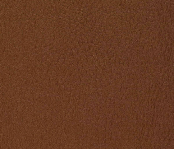 K310265 | Faux leather | Schauenburg