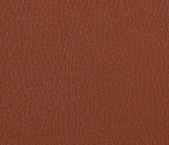 L1030310 | Natural leather | Schauenburg