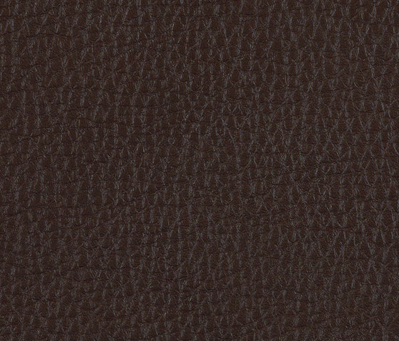 L1030313 | Natural leather | Schauenburg
