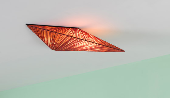 Zooid ceiling | Lámparas de techo | Aqua Creations