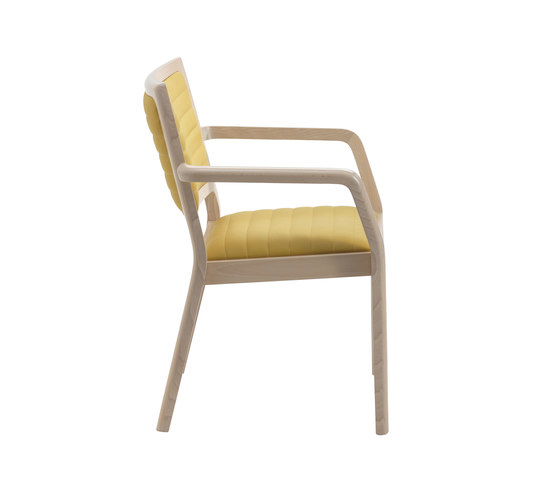 MyFrame Lounge Chair | Sessel | Segis