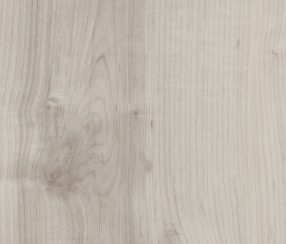Solid Tundra | Vinyl flooring | Kaindl