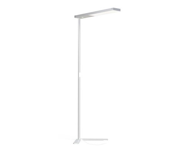 XT-A FLOOR MONO LED OSA SATIN/WHITE | Lámparas de pie | GRAU