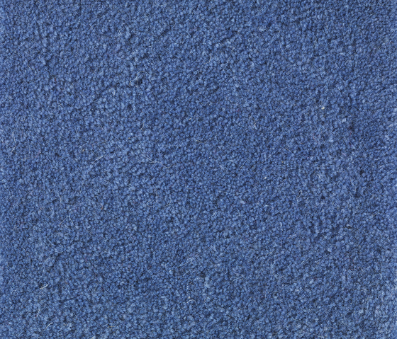 Sencillo Standard blue-24 | Rugs | Kateha