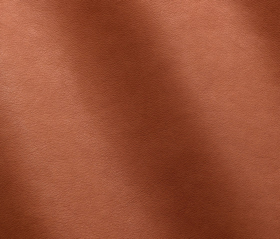Magellano 7003 brandy | Natural leather | Gruppo Mastrotto
