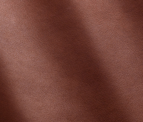 Magellano 7005 bruciato | Natural leather | Gruppo Mastrotto