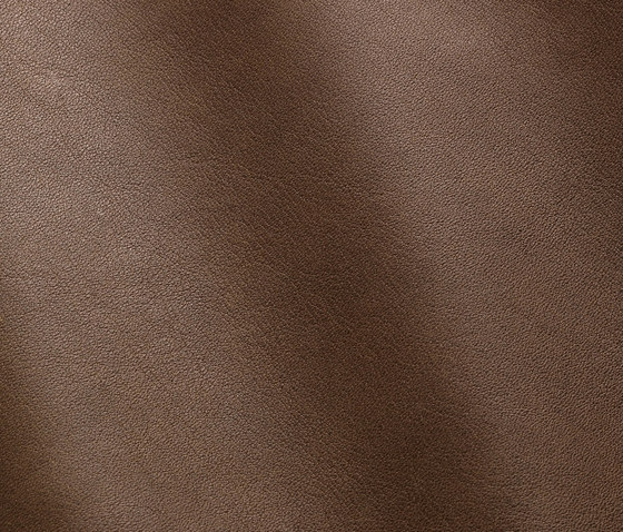 Magellano 7006 siena | Natural leather | Gruppo Mastrotto