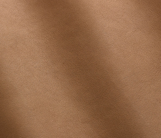 Magellano 7004 terra | Natural leather | Gruppo Mastrotto