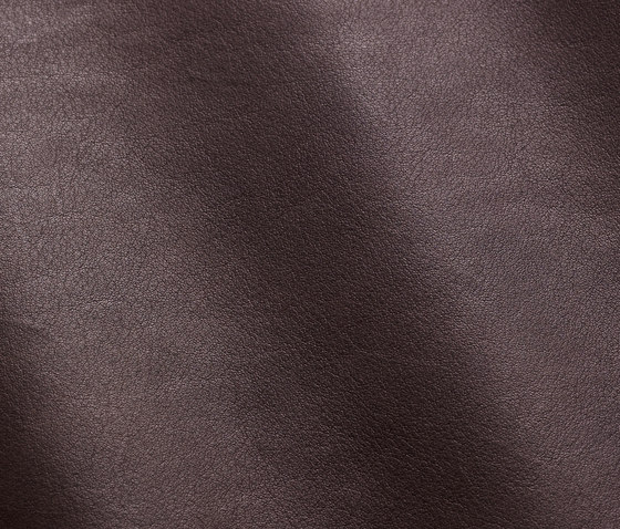 Magellano 7002 testa di moro | Natural leather | Gruppo Mastrotto