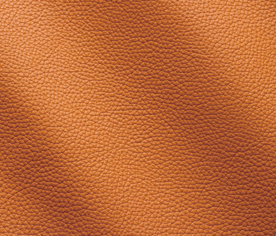 Zenith 9037 arancio | Natural leather | Gruppo Mastrotto