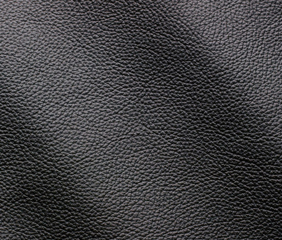 Zenith 9032 ardesia | Natural leather | Gruppo Mastrotto