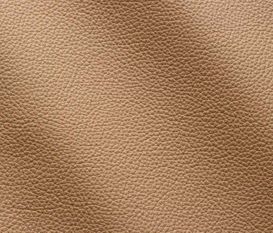 Zenith 9040 beige | Natural leather | Gruppo Mastrotto