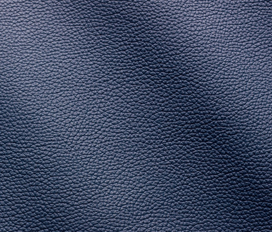 Zenith 9031 blu notte | Natural leather | Gruppo Mastrotto