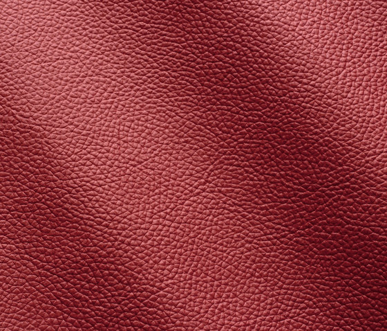 Zenith 9017 bordo | Natural leather | Gruppo Mastrotto