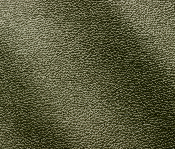Zenith 9035 bosco | Natural leather | Gruppo Mastrotto