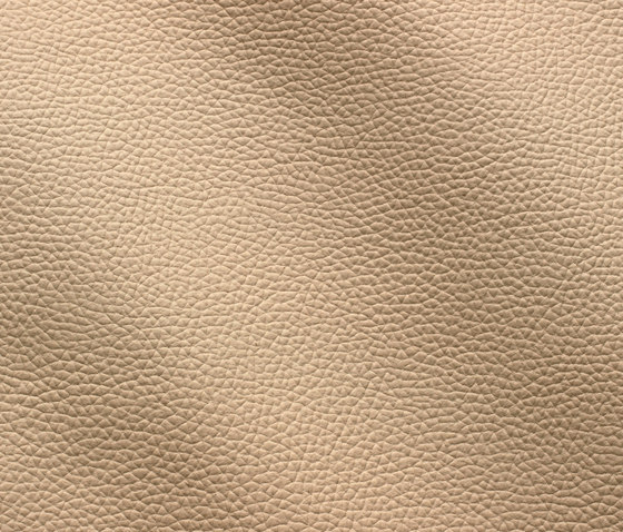 Zenith 9047 cammello | Natural leather | Gruppo Mastrotto
