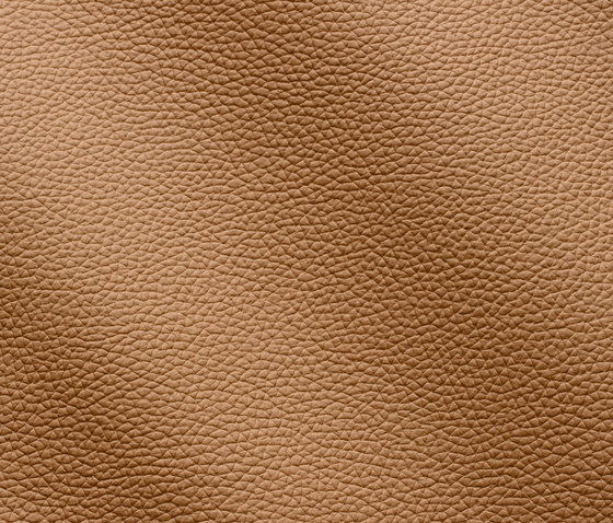 Zenith 9039 champagne | Natural leather | Gruppo Mastrotto