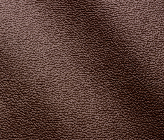 Zenith 9030 cioccolato | Natural leather | Gruppo Mastrotto