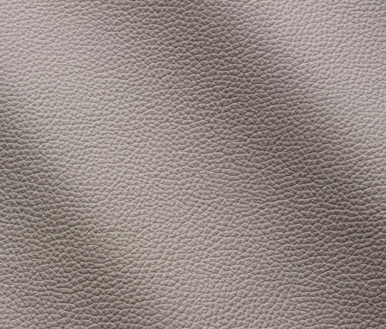 Zenith 9033 cenere | Natural leather | Gruppo Mastrotto