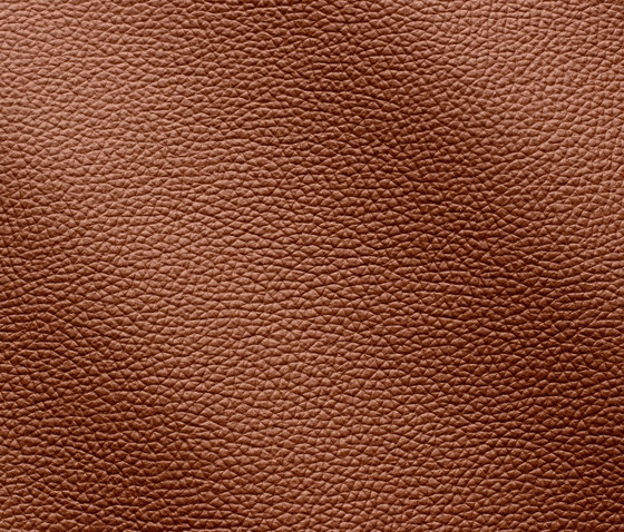 Zenith 9011 corteccia | Natural leather | Gruppo Mastrotto