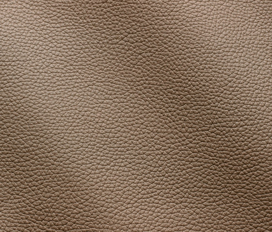 Zenith 9034 creta | Natural leather | Gruppo Mastrotto