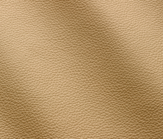 Zenith 9005 deserto | Natural leather | Gruppo Mastrotto