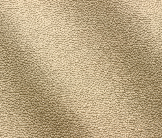 Zenith 9002 ecru | Natural leather | Gruppo Mastrotto