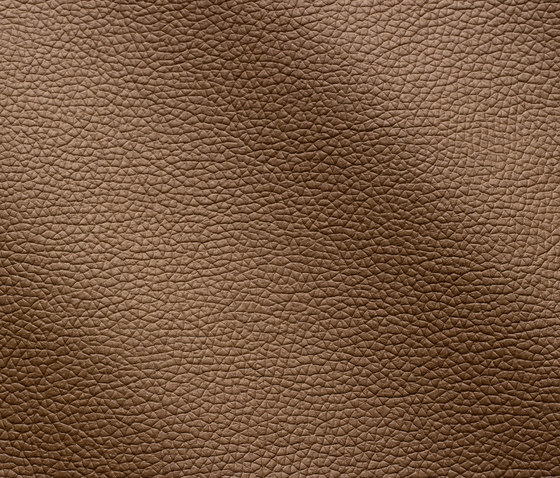 Zenith 9013 fango | Natural leather | Gruppo Mastrotto