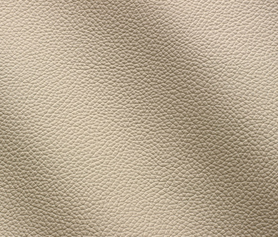 Zenith 9003 ghiaccio | Natural leather | Gruppo Mastrotto