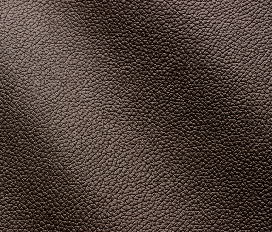 Zenith 9023 grafite | Natural leather | Gruppo Mastrotto