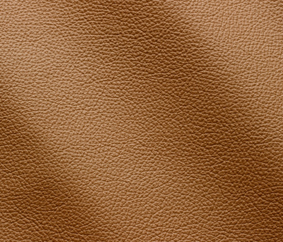 Zenith 9027 miele | Natural leather | Gruppo Mastrotto