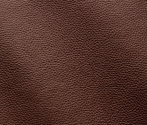 Zenith 9046 mogano | Natural leather | Gruppo Mastrotto