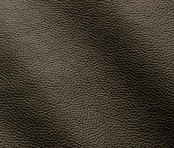 Zenith 9045 muschio | Natural leather | Gruppo Mastrotto