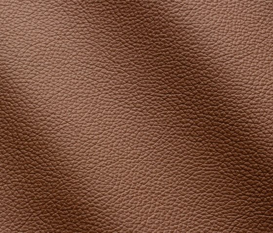 Zenith 9012 nocciola | Natural leather | Gruppo Mastrotto