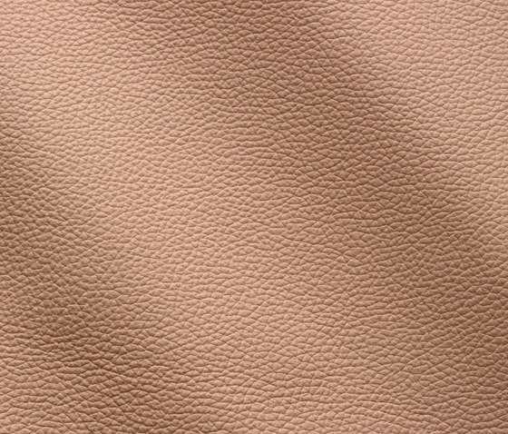 Zenith 9043 nude | Natural leather | Gruppo Mastrotto