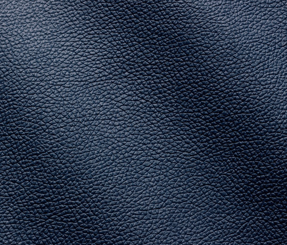 Zenith 9021 oceano | Natural leather | Gruppo Mastrotto