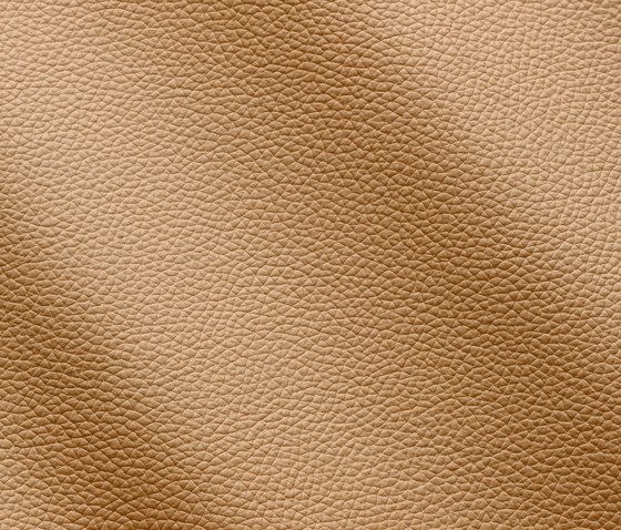 Zenith 9006 pergamenta | Natural leather | Gruppo Mastrotto