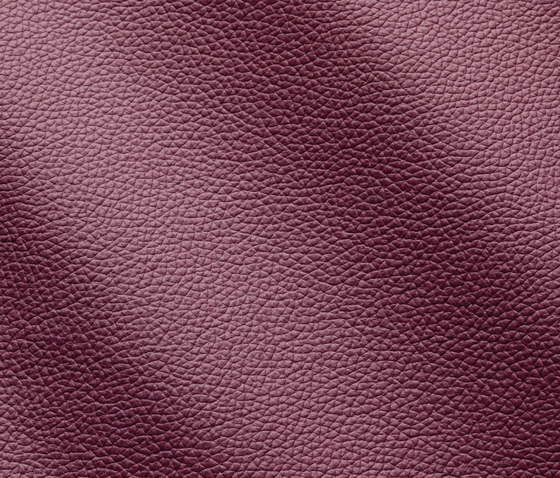 Zenith 9042 petunia | Natural leather | Gruppo Mastrotto