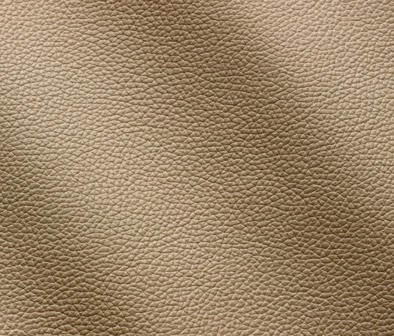 Zenith 9007 pietra | Natural leather | Gruppo Mastrotto