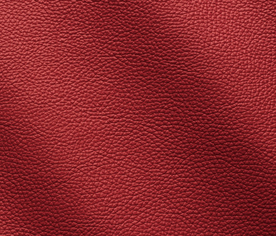 Zenith 9016 rosso | Natural leather | Gruppo Mastrotto