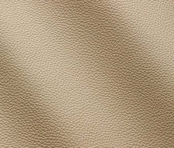 Zenith 9004 sabbia | Natural leather | Gruppo Mastrotto