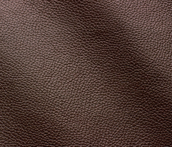 Zenith 9015 testa di moro | Natural leather | Gruppo Mastrotto