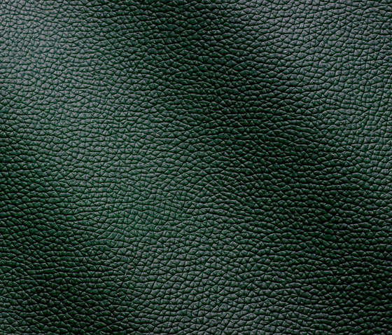 Zenith 9018 verdone | Natural leather | Gruppo Mastrotto