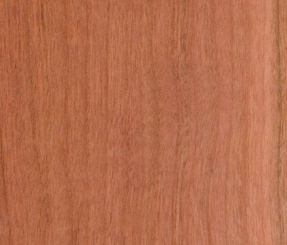Parklex Floors HyTek Finish | Cherry | Wood veneers | Parklex Prodema