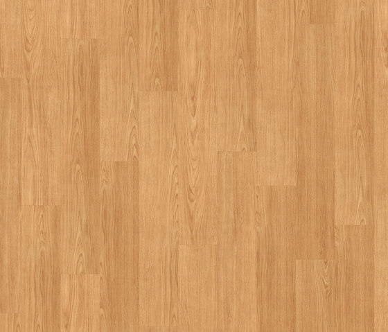 Scala 30 Connect Wood 23315-141 | Synthetic panels | Armstrong
