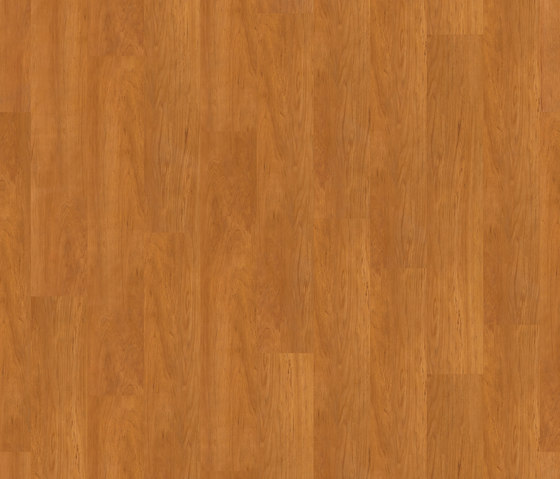 Scala 30 Connect Wood 23365-161 | Synthetic panels | Armstrong