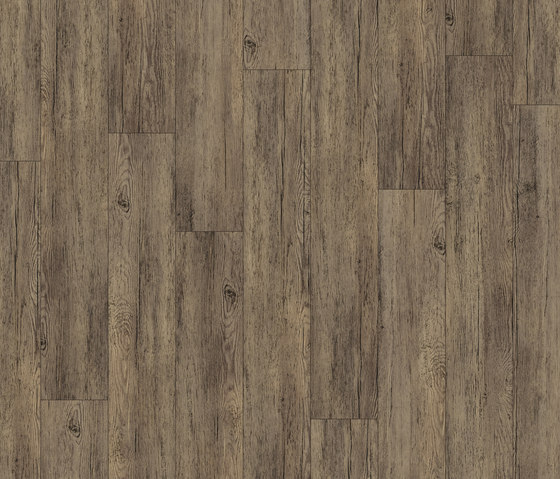 Scala 55 PUR Wood 25105-164 | Kunststoff Platten | Armstrong